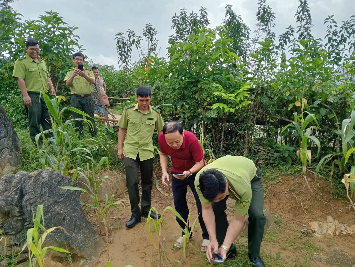 Th&ocirc;ng tin ch&iacute;nh thức về việc c&oacute; hổ xuất hiện ở khu bảo tồn thi&ecirc;n nhi&ecirc;n Ngọc Sơn - Ảnh 2.