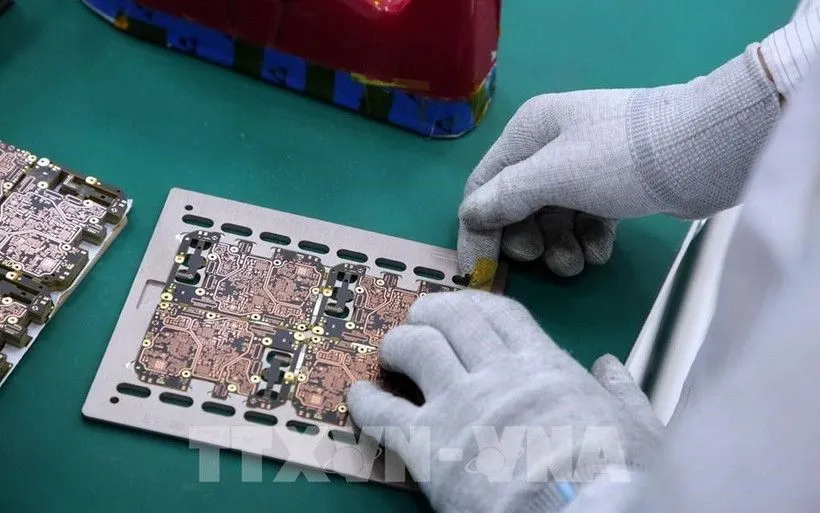 Ảnh minh họa: TTXVN 