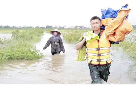Diện tích lúa ở xã Đa Phúc bị ngập úng sau cơn bão số 10