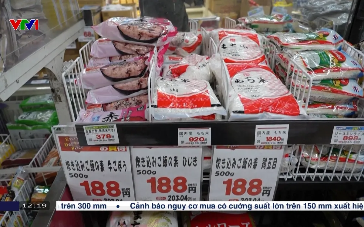 Giá hàng hóa thực phẩm toàn cầu giảm trong tháng 9