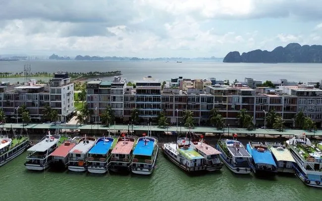 Tàu du lịch tránh trú bão tại âu cảng tàu khách quốc tế Tuần Châu, phường Tuần Châu, tỉnh Quảng Ninh. (Ảnh: TTXVN)