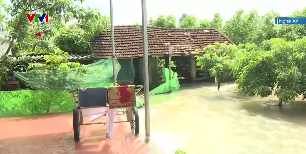 Người dân miền núi Nghệ An dọn dẹp sau bão - Ảnh 2.