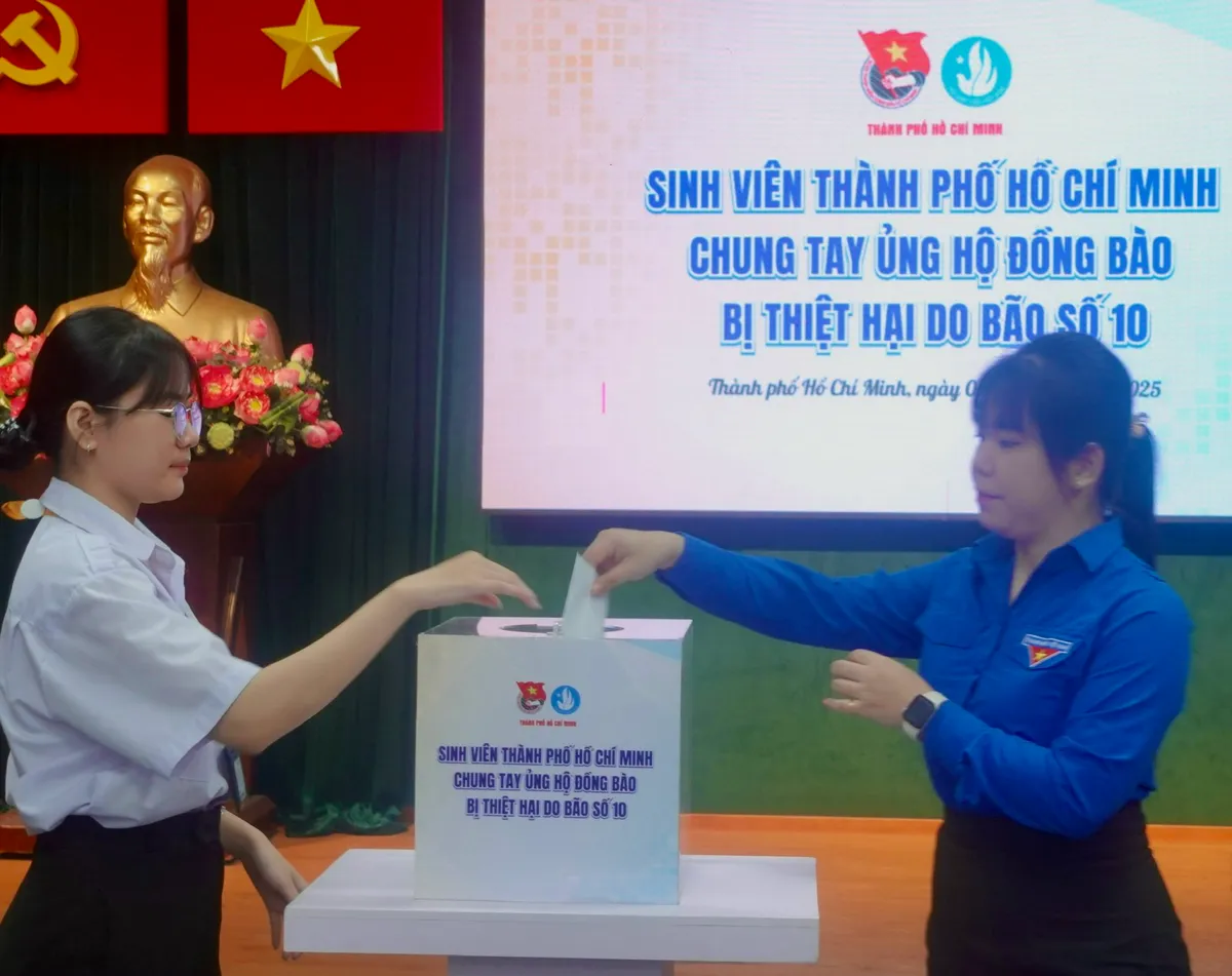 Sinh viên TP Hồ Chí Minh tham gia xây dựng chính quyền địa phương hai cấp - Ảnh 4.