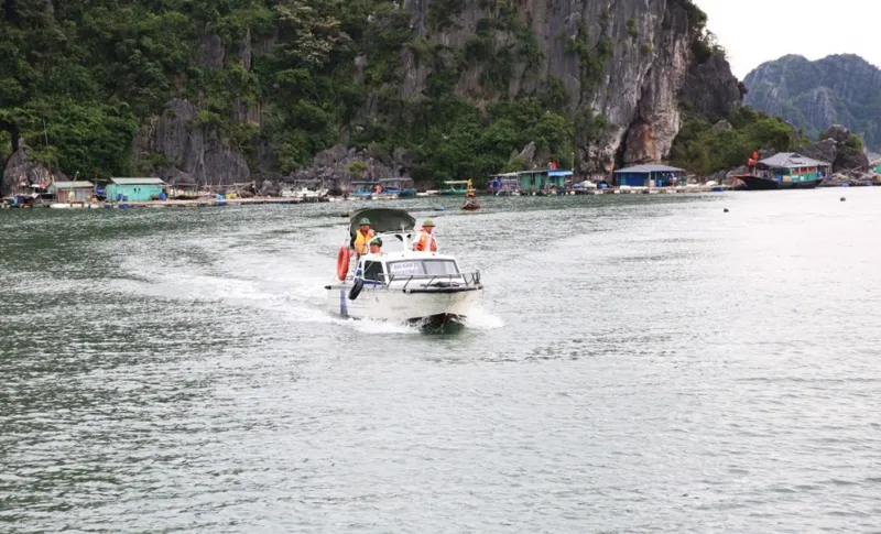 Đặc khu Vân Đồn kích hoạt phương án ứng phó bão số 11 ở cấp độ cao nhất - Ảnh 1.