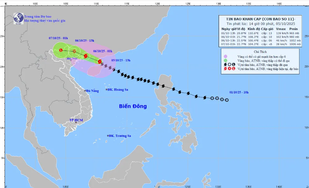 Bão số 11 cách Móng Cái (Quảng Ninh) khoảng 290 km - Ảnh 1.