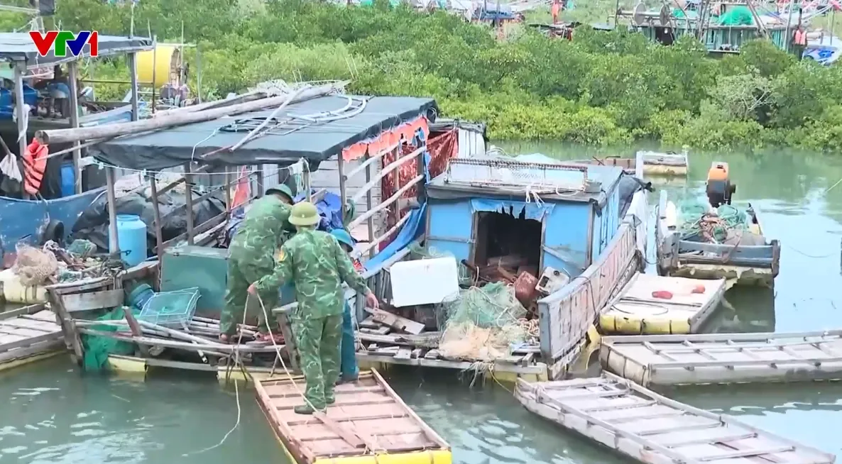Quảng Ninh: Hơn 500 tàu cá của phường Móng Cái 1 đã vào nơi tránh trú bão số 11 - Ảnh 1.