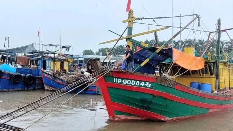 Hải Phòng triển khai giải pháp bảo vệ an toàn cho người dân, du khách trước bão số 11 - Ảnh 2.