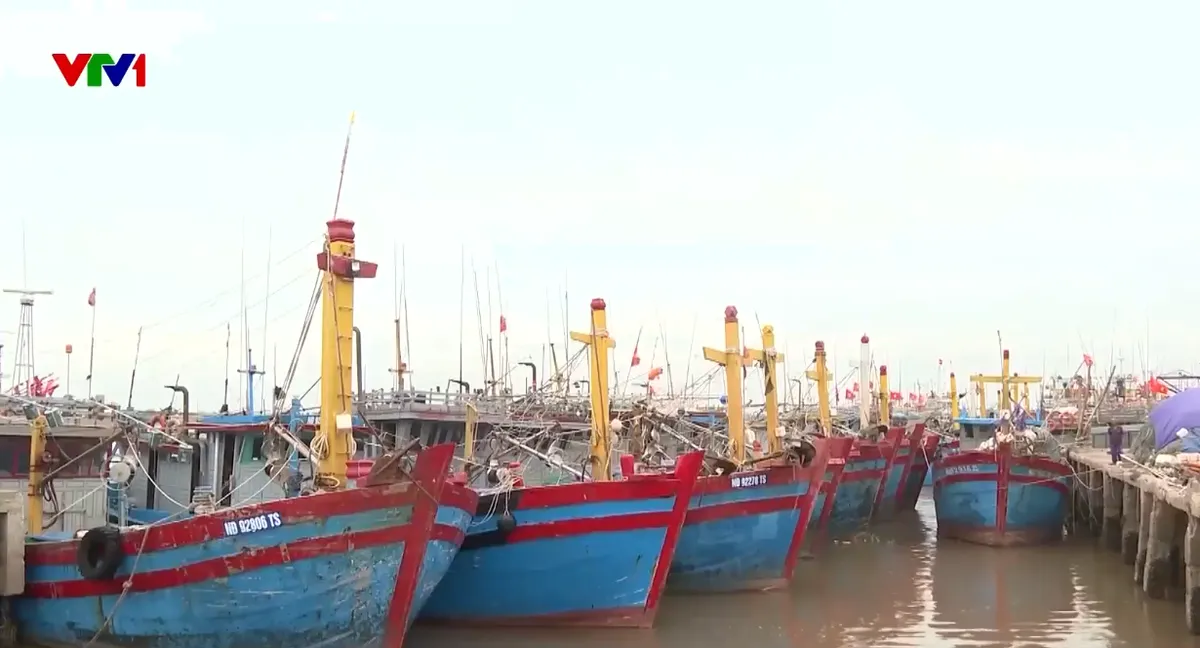 Nhiều địa phương cấm biển, gia cố đê kè ứng phó bão số 11 - Ảnh 1.