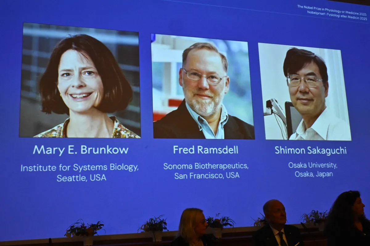 Ba nhà khoa học giành giải Nobel Y học 2025 nhờ khám phá về hệ miễn dịch- Ảnh 1. Ba nhà khoa học giành giải Nobel Y học 2025 nhờ khám phá về hệ miễn dịch- Ảnh 1.