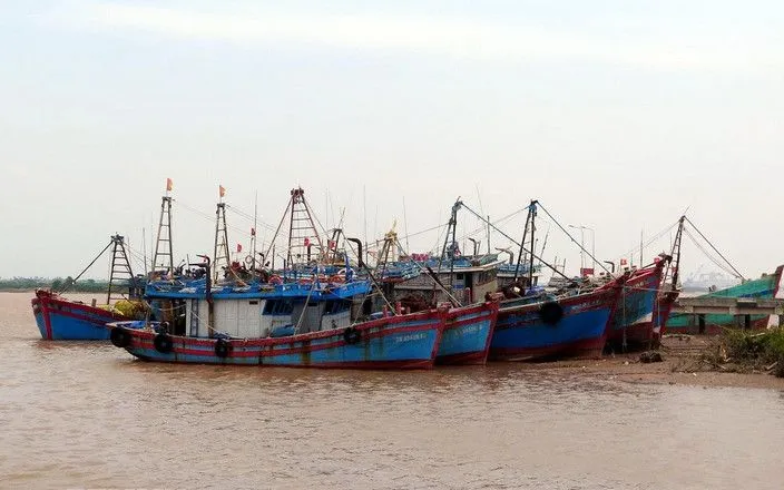 Ảnh minh họa. (Nguồn: TTXVN) Ảnh minh họa. (Nguồn: TTXVN)