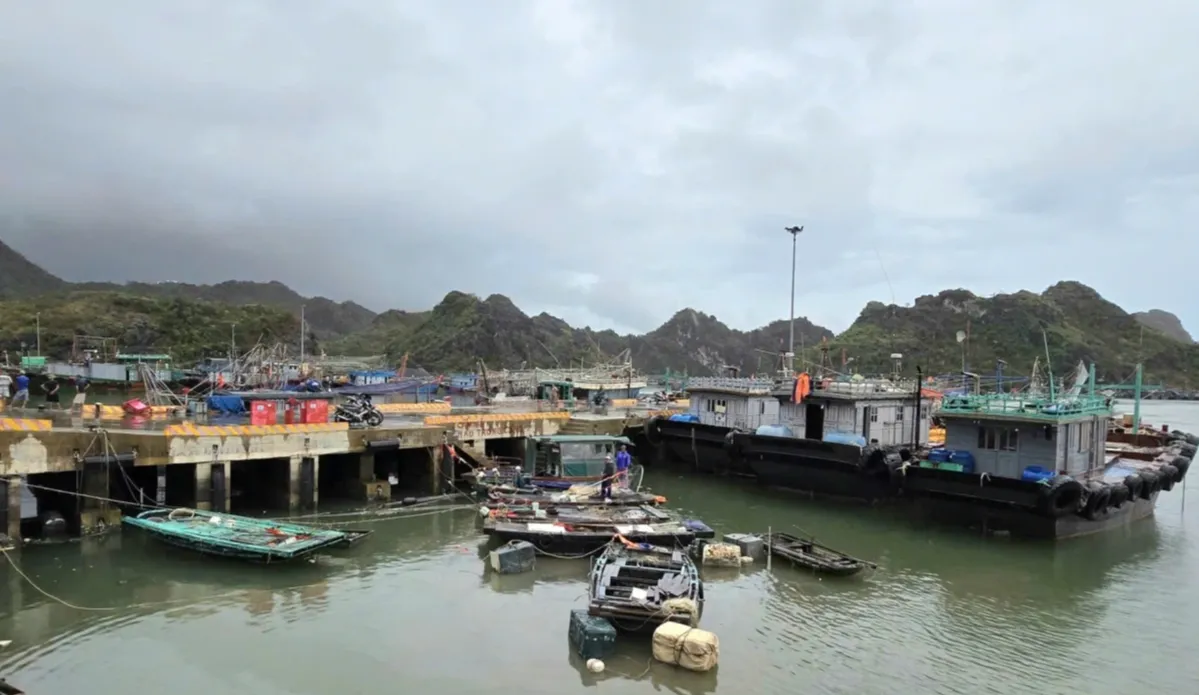 Hải Phòng dỡ bỏ lệnh cấm biển sau bão số 11 - Ảnh 1.