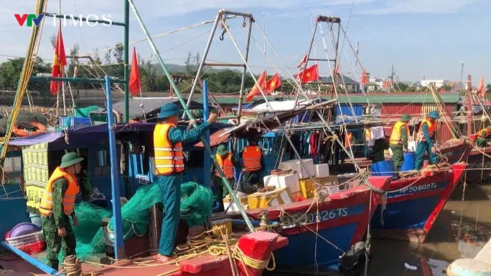 Hải Phòng dỡ bỏ lệnh cấm biển sau bão số 11 - Ảnh 2.