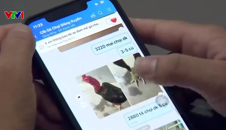 Triệt ph&aacute; tụ điểm đ&aacute;nh bạc n&uacute;p b&oacute;ng đ&aacute; g&agrave; ở H&agrave; Nội, s&aacute;t phạt h&agrave;ng trăm triệu đồng - Ảnh 1.