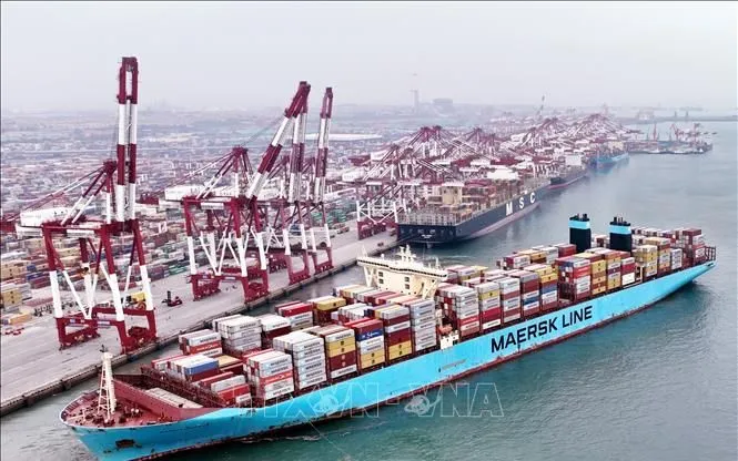 Giá cước vận tải biển giảm do thuế quan - Ảnh: THX Giá cước vận tải biển giảm do thuế quan - Ảnh: THX