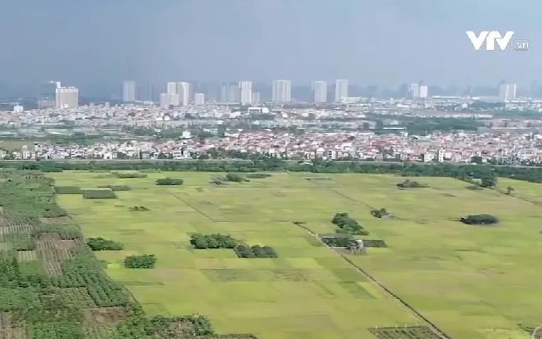 Ảnh minh họa.  Ảnh minh họa.