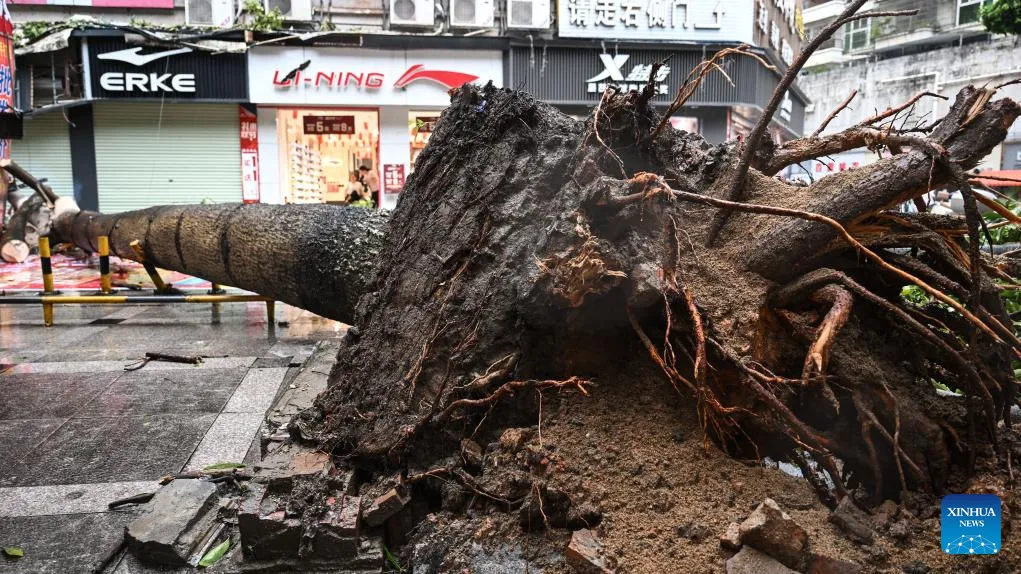 Bão Matmo khiến nhiều tuyến phố ở Quảng Tây (Trung Quốc) ngập sâu- Ảnh 4. Bão Matmo khiến nhiều tuyến phố ở Quảng Tây (Trung Quốc) ngập sâu- Ảnh 4.