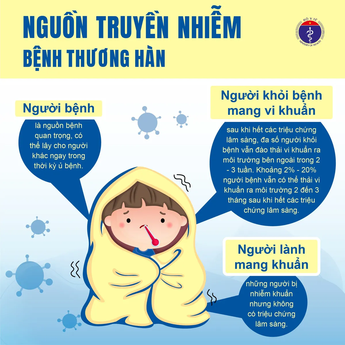Infographic: Cảnh báo bệnh thương hàn sau mưa lũ- Ảnh 2.