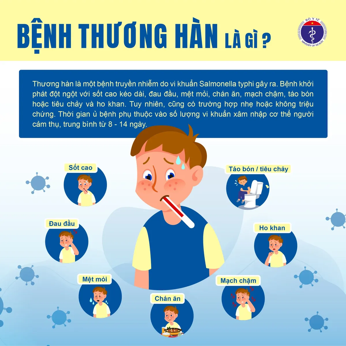 Infographic: Cảnh báo bệnh thương hàn sau mưa lũ- Ảnh 1.