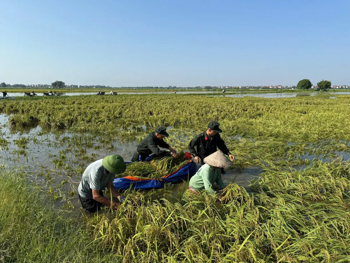 Hà Nội: Lực lượng Công an cơ sở hỗ trợ người dân ứng phó với mưa lũ - Ảnh 3.