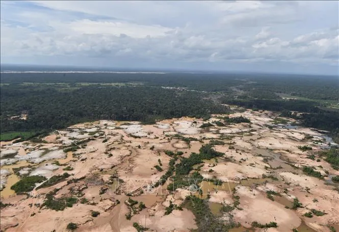 “Cơn sốt vàng” tàn phá 140.000 ha rừng Amazon- Ảnh 1. “Cơn sốt vàng” tàn phá 140.000 ha rừng Amazon- Ảnh 1.