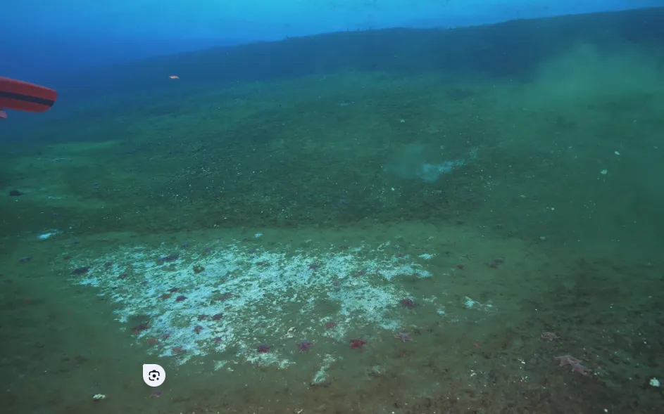 Điểm rò rỉ khí methane tại mũi Cape Evans, Nam Cực (Ảnh: Leigh Tate/Earth Sciences New Zealand) Điểm rò rỉ khí methane tại mũi Cape Evans, Nam Cực (Ảnh: Leigh Tate/Earth Sciences New Zealand)