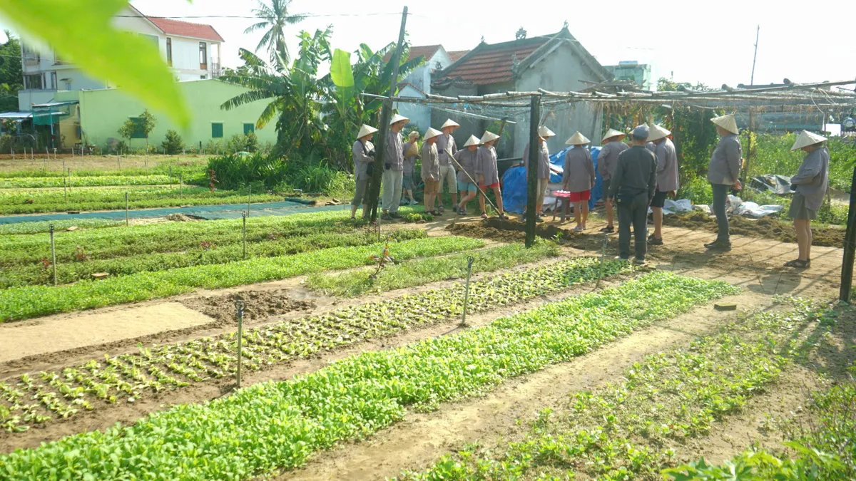 Đà Nẵng: Chọn giá trị cốt lõi làm nền tảng phát triển du lịch - Ảnh 2.