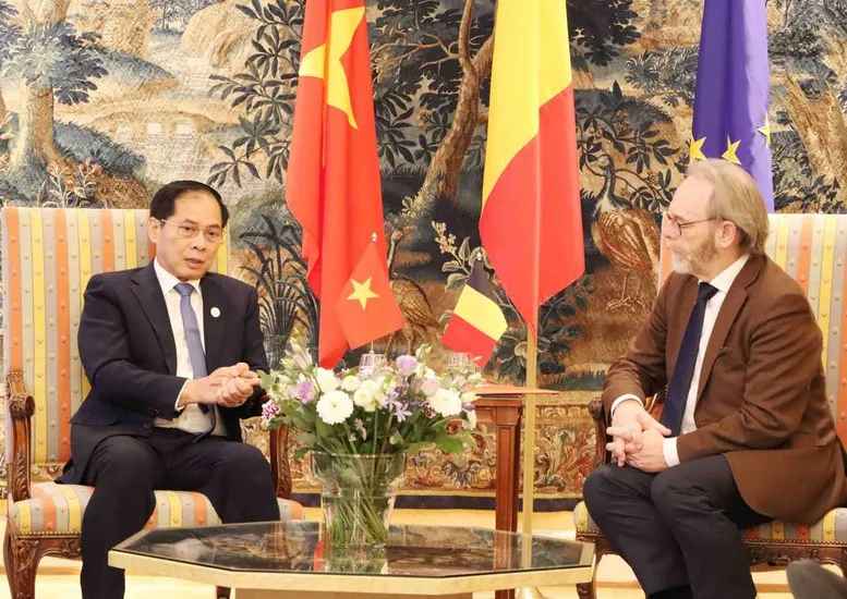 Việt Nam đề nghị Bỉ phê chuẩn EVIPA trong năm 2025 - Ảnh 1.