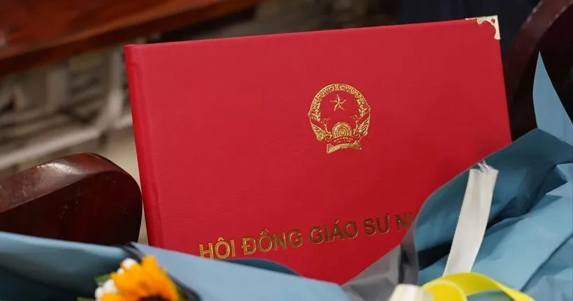 97 ứng viên bị loại khỏi danh sách xét công nhận giáo sư, phó giáo sư năm 2025 - Ảnh 1.