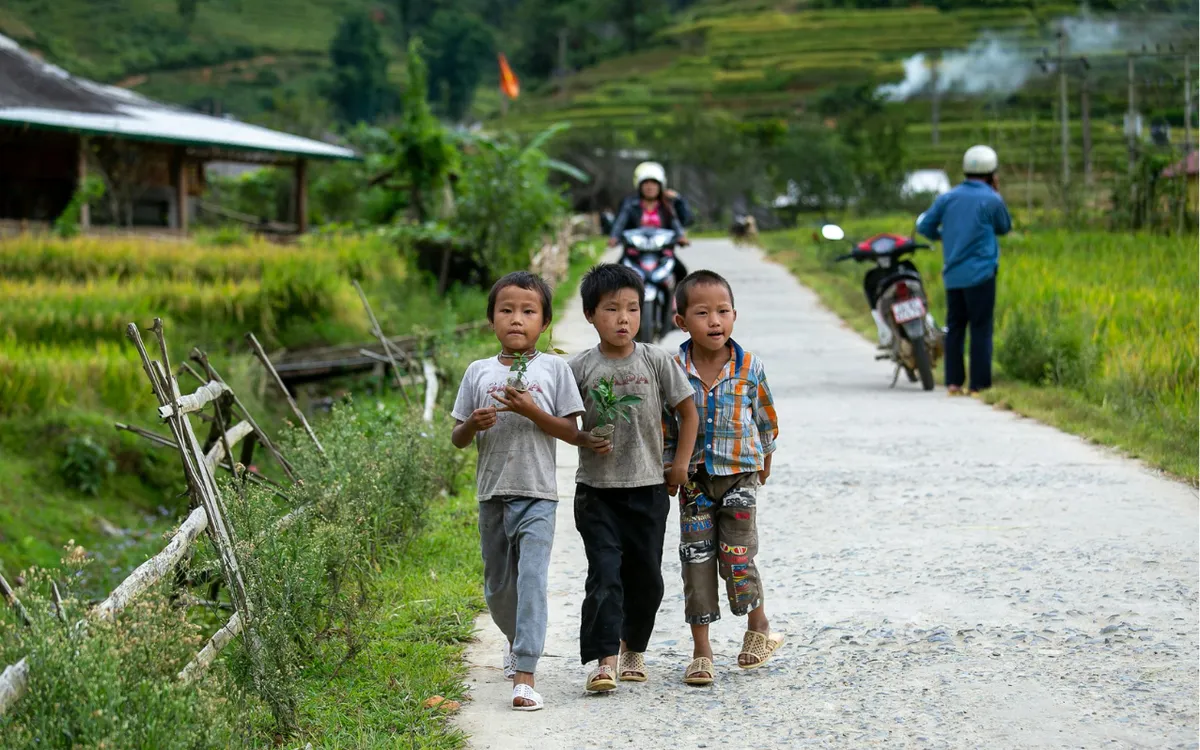 Ảnh: Son Hoa Nguyen Ảnh: Son Hoa Nguyen