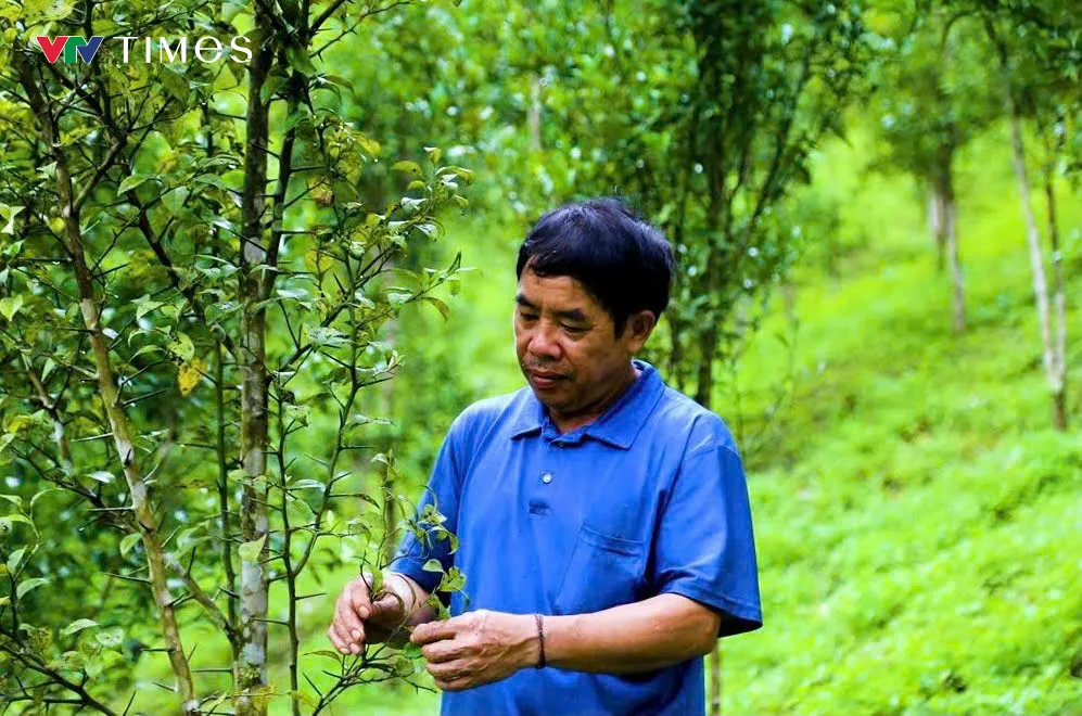 Đảng soi đường, Quang Chiểu khởi sắc nơi biên cương - Ảnh 4.