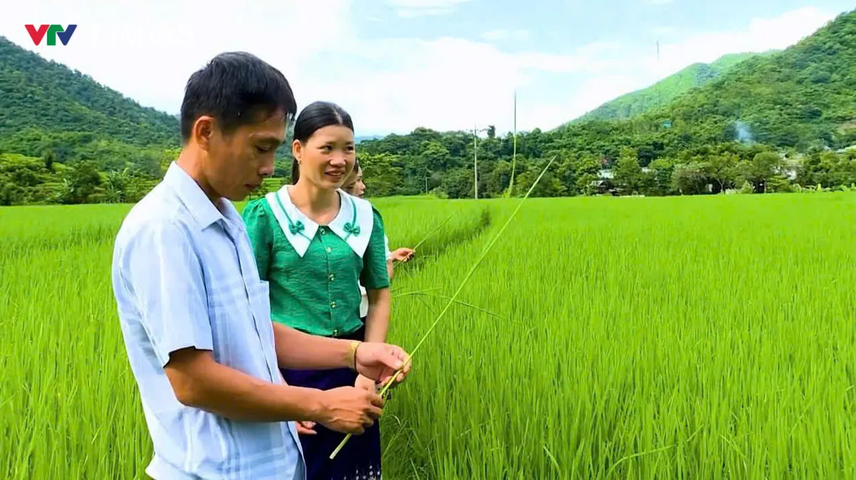 Đảng soi đường, Quang Chiểu khởi sắc nơi biên cương - Ảnh 2.