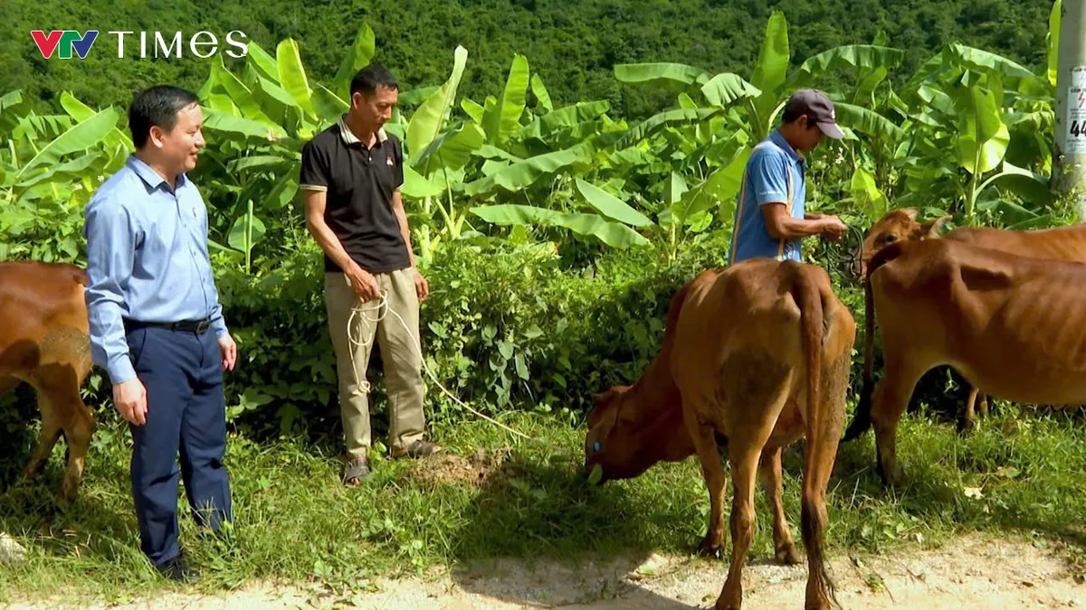Đảng soi đường, Quang Chiểu khởi sắc nơi biên cương - Ảnh 3.