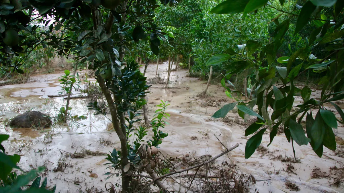 Thái Nguyên: Vỡ hồ bùn thải nhà máy luyện kim, bùn xám đặc quánh bủa vây khu dân cư, bốc mùi nồng nặc - Ảnh 1.