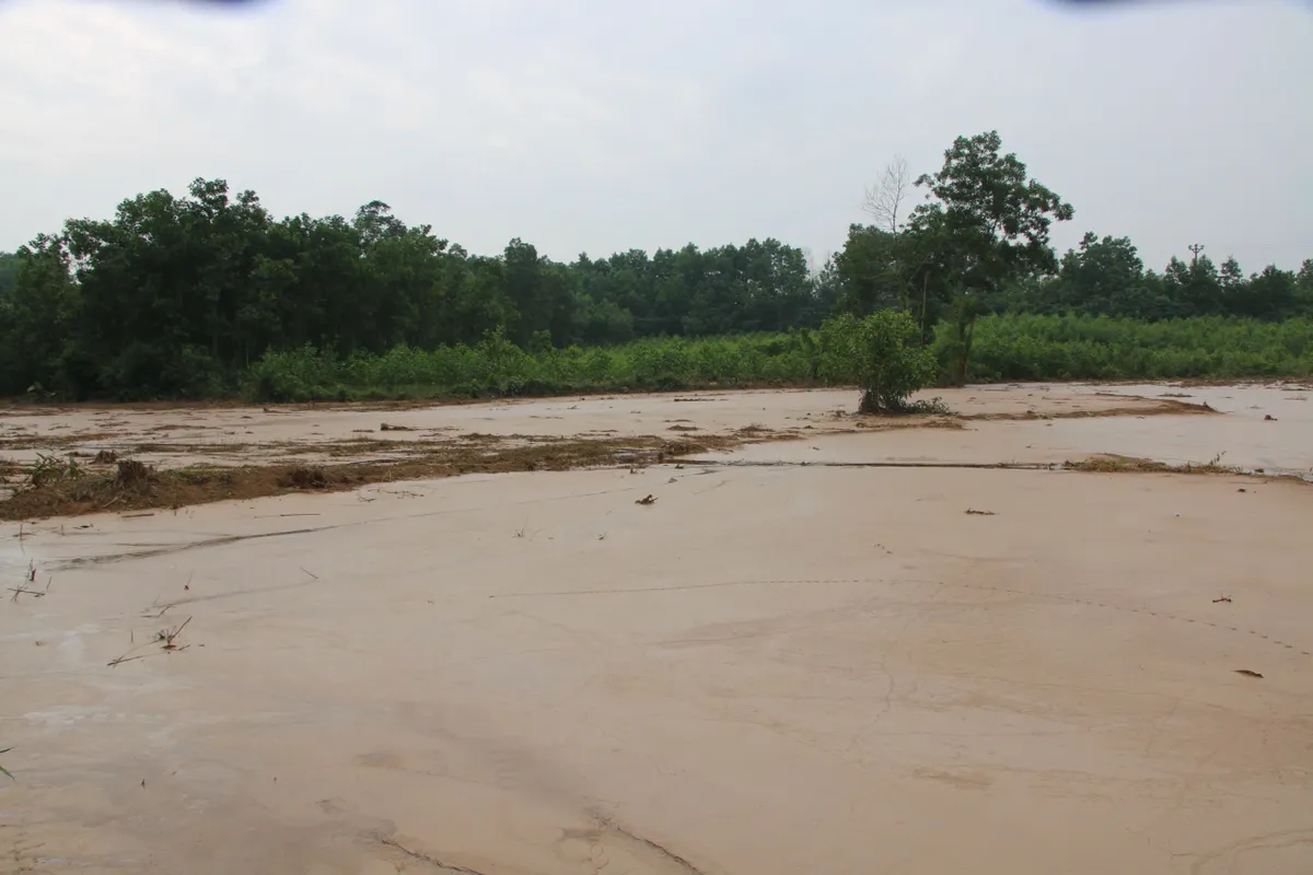Thái Nguyên: Vỡ hồ bùn thải nhà máy luyện kim, bùn xám đặc quánh bủa vây khu dân cư, bốc mùi nồng nặc - Ảnh 4.