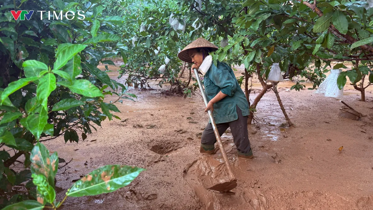 Vụ vỡ hồ chứa bùn tại Thái Nguyên: Gần 40 hộ dân bị ảnh hưởng, hàng nghìn m2 vườn ổi, ao cá bị "bức tử" - Ảnh 2.