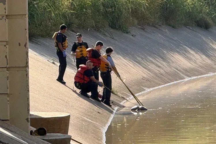 Mỹ phát hiện nhiều thi thể trôi sông ở Houston - Ảnh 1.