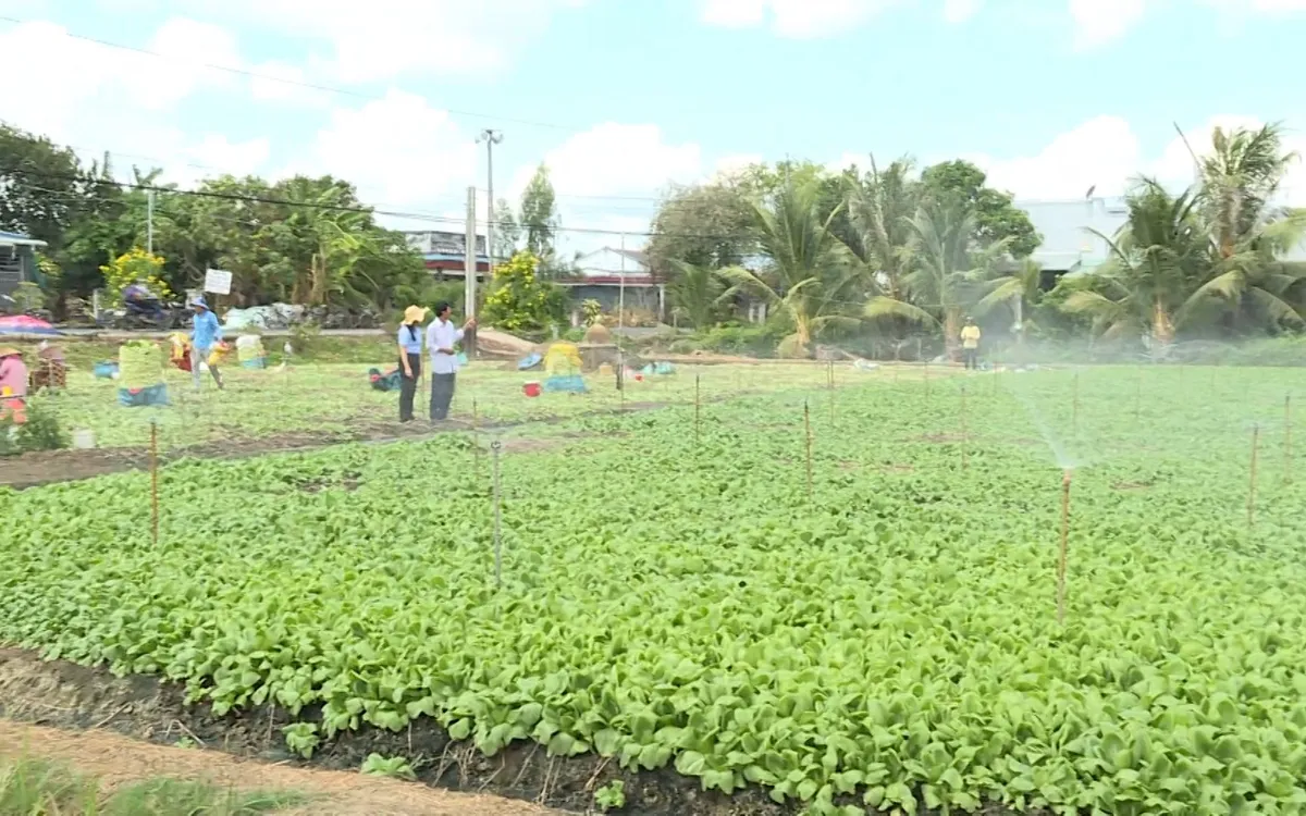 Khẩn trương khôi phục sản xuất nông nghiệp sau bão lũ Khẩn trương khôi phục sản xuất nông nghiệp sau bão lũ