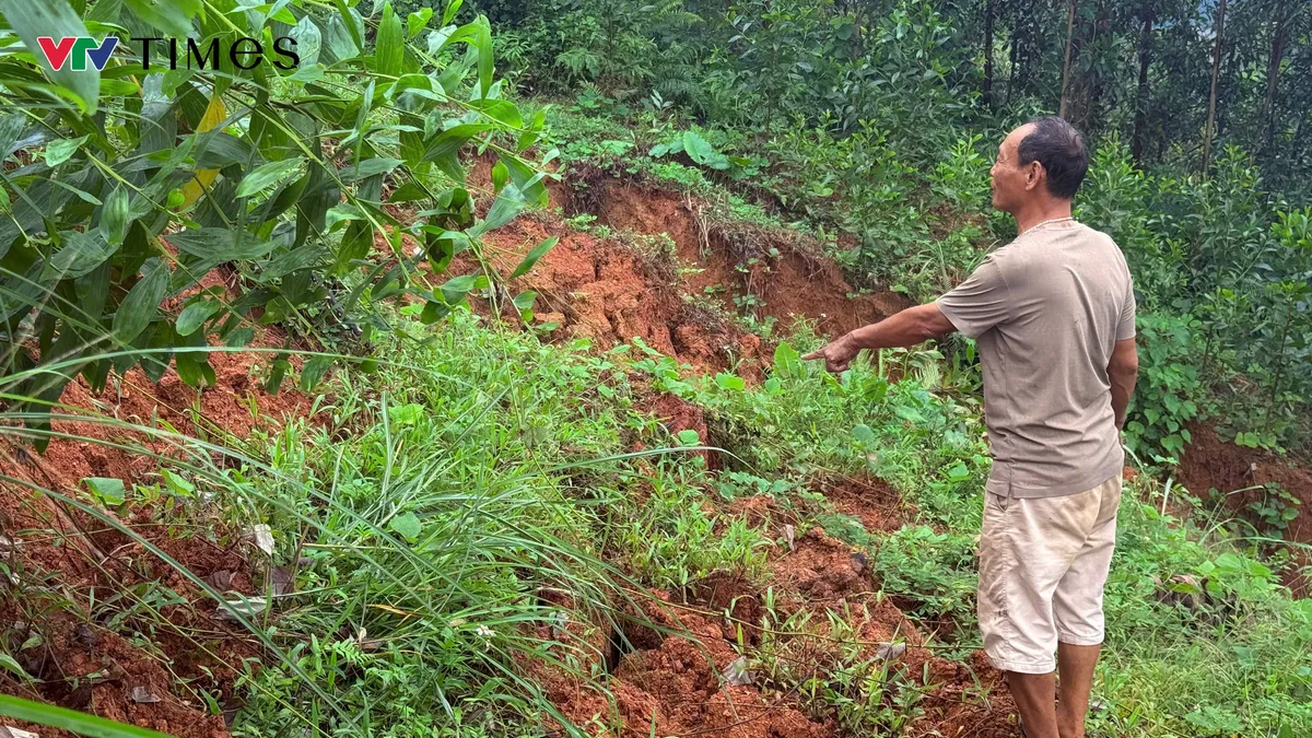 Thái Nguyên: Xuất hiện vết nứt khổng lồ, hàng chục hộ dân "sống trên miệng tử thần" - Ảnh 3.