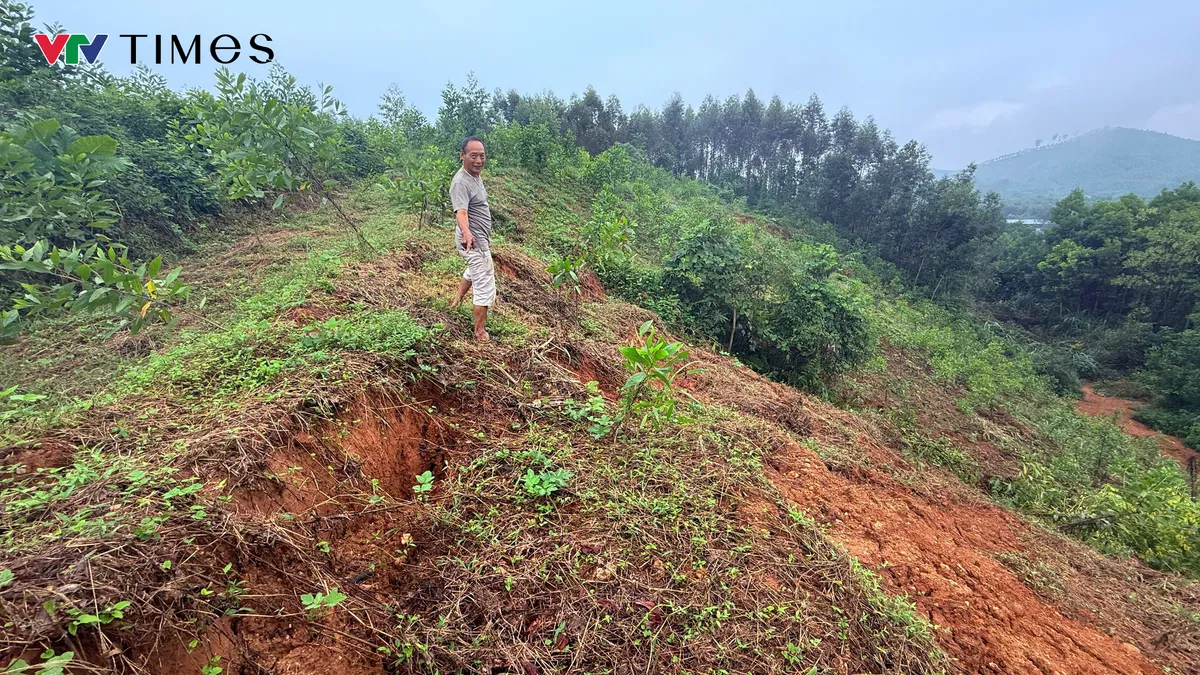 Thái Nguyên: Xuất hiện vết nứt khổng lồ, hàng chục hộ dân "sống trên miệng tử thần" - Ảnh 1.