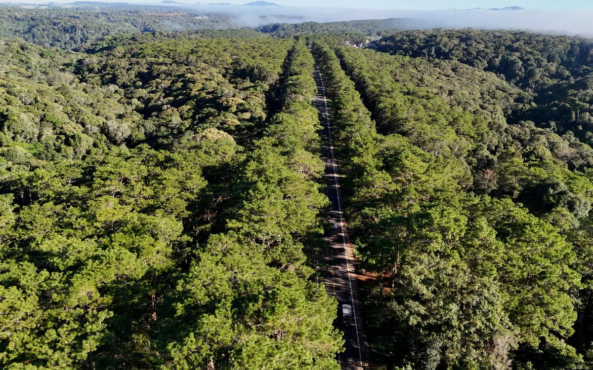 Măng Đen - một “thiên đường xanh” đang vươn mình thức giấc.
