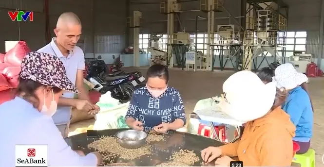 Siết hoàn thuế VAT: Doanh nghiệp nông sản “khát” vốn lưu động  - Ảnh 2.