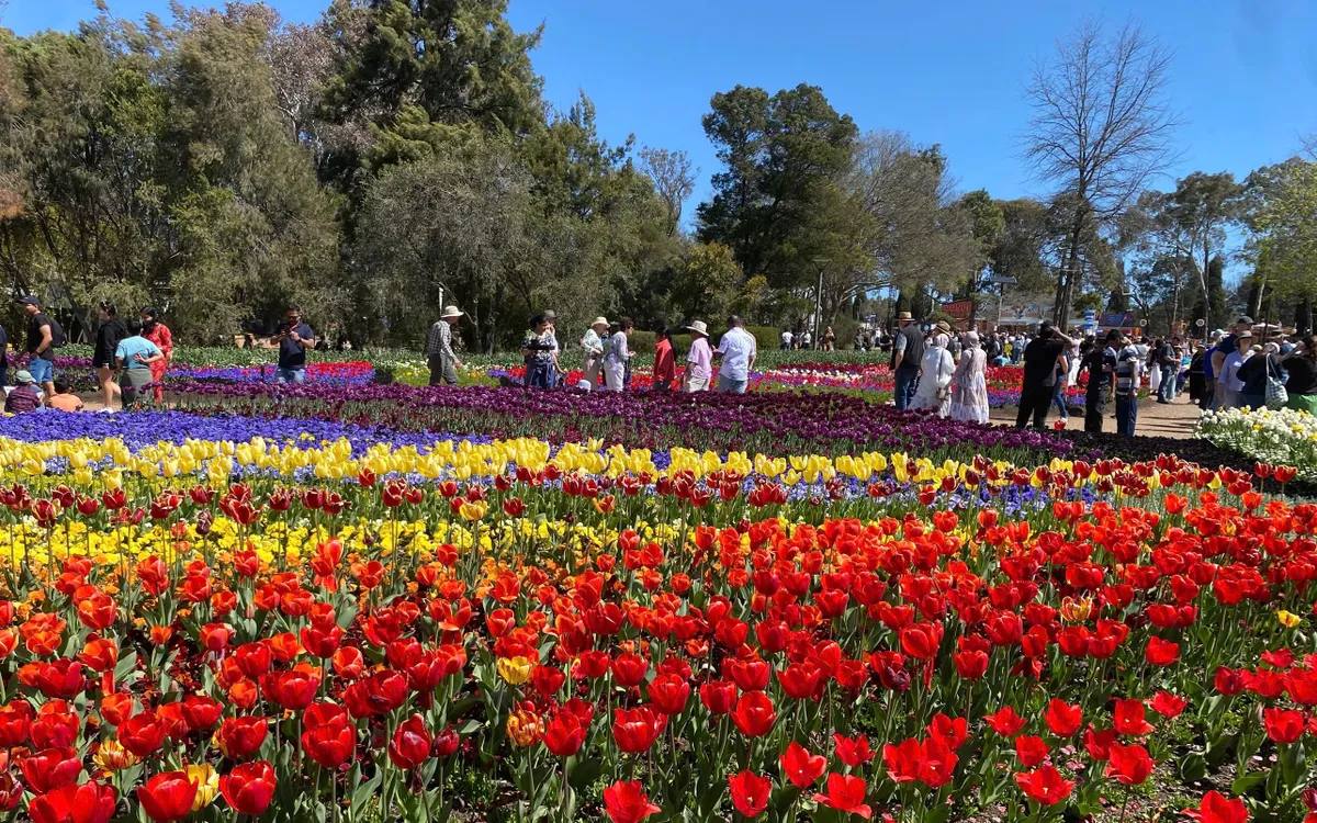 Floriade - biển hoa mùa xuân.