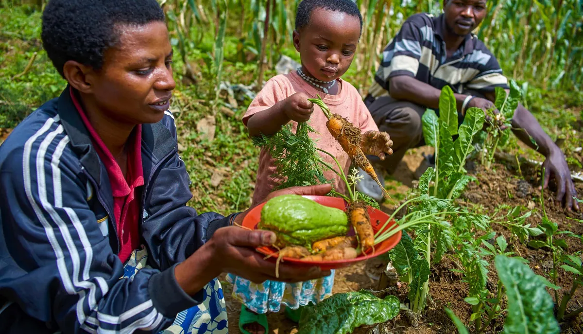 “Planetary Health Diet”: Bữa ăn cho cả người và hành tinh - Ảnh 2.