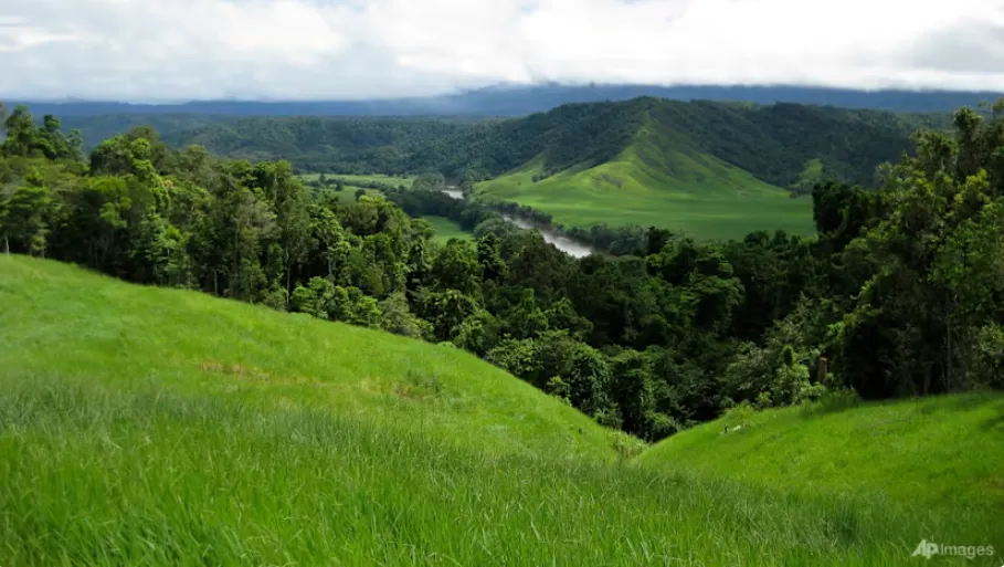 Rừng mưa nhiệt đới Australia không còn là "bể chứa" carbon - Ảnh 1. Rừng mưa nhiệt đới Australia không còn là "bể chứa" carbon - Ảnh 1.