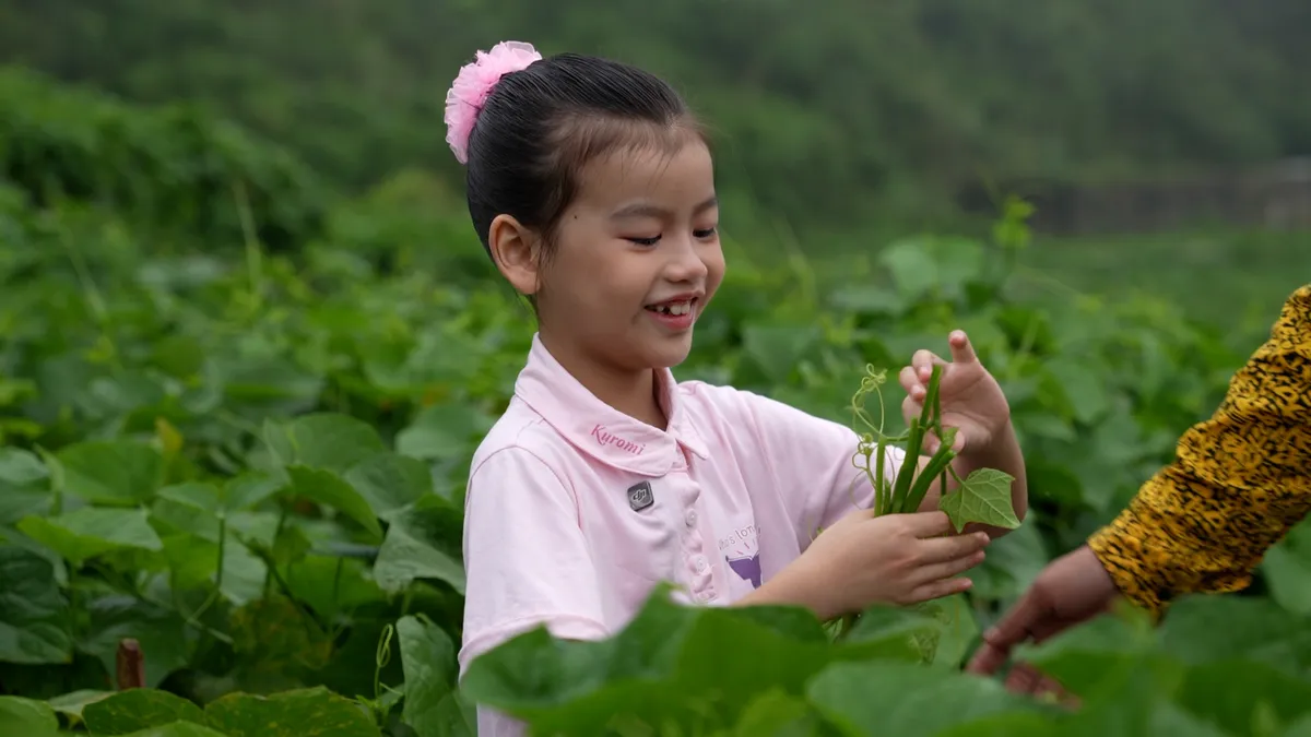 Hành trình nghệ thuật của cha con nhạc sĩ Nguyễn Vĩnh Tiến trong Cha con vạn dặm - Ảnh 4.