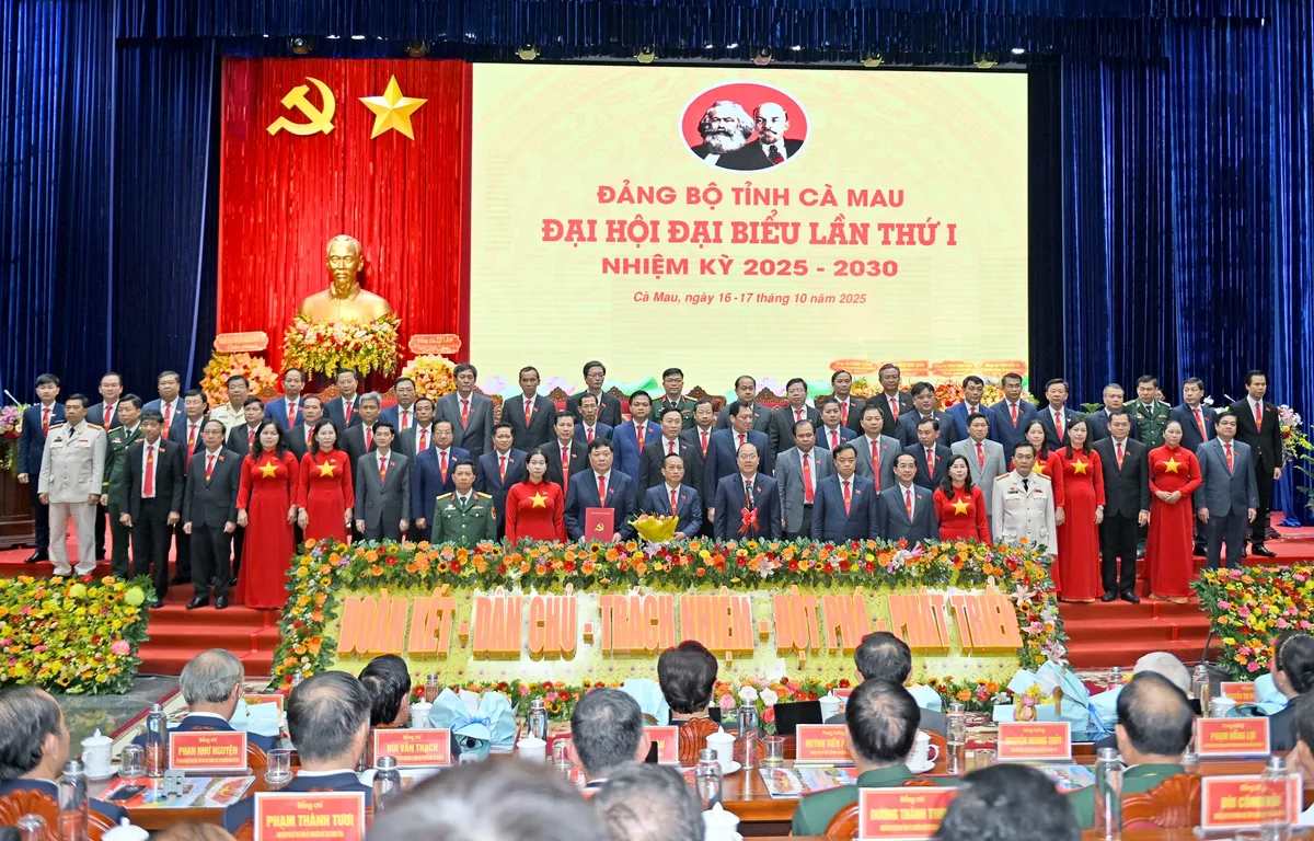 Hợp nhất tạo đà, Cà Mau cất cánh - khẳng định vị thế mới ở phương Nam- Ảnh 4. Hợp nhất tạo đà, Cà Mau cất cánh - khẳng định vị thế mới ở phương Nam- Ảnh 4.