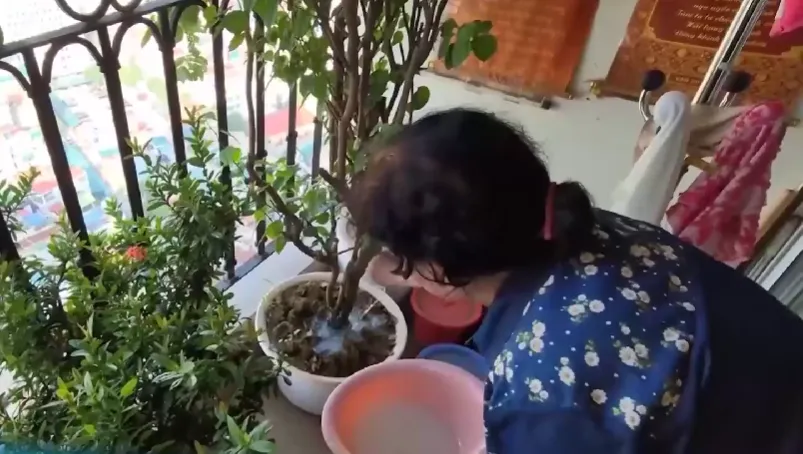 Chỉ số nước cao bất thường tại một số hộ d&acirc;n chung cư H&ograve;a B&igrave;nh Green City (H&agrave; Nội) - Ảnh 1.