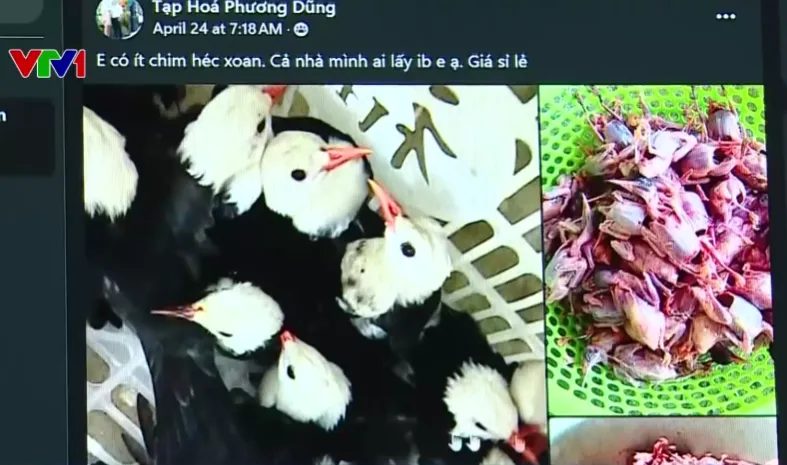 MÔ HÌNH CHĂM SÓC NGƯỜI GIÀ "SÁNG ĐI CHIỀU VỀ" - Ảnh 1.