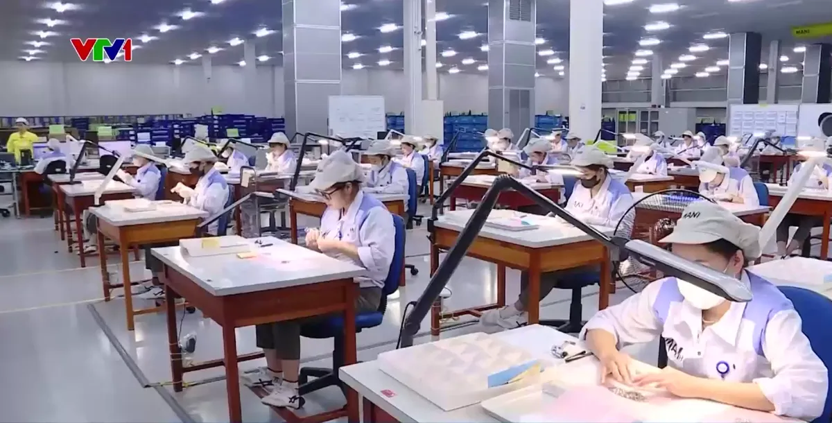 Ổn định lao động, duy tr&igrave; sản xuất sau b&atilde;o  - Ảnh 2.