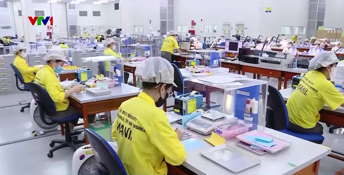 Ổn định lao động, duy tr&igrave; sản xuất sau b&atilde;o  - Ảnh 1.